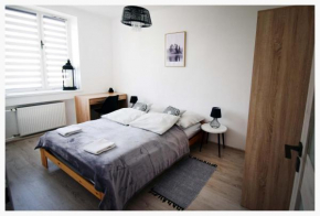 Color 24 Apartament II Stalowa Wola
